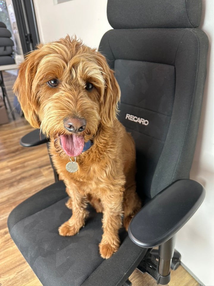 RECARO 24H Office Chair