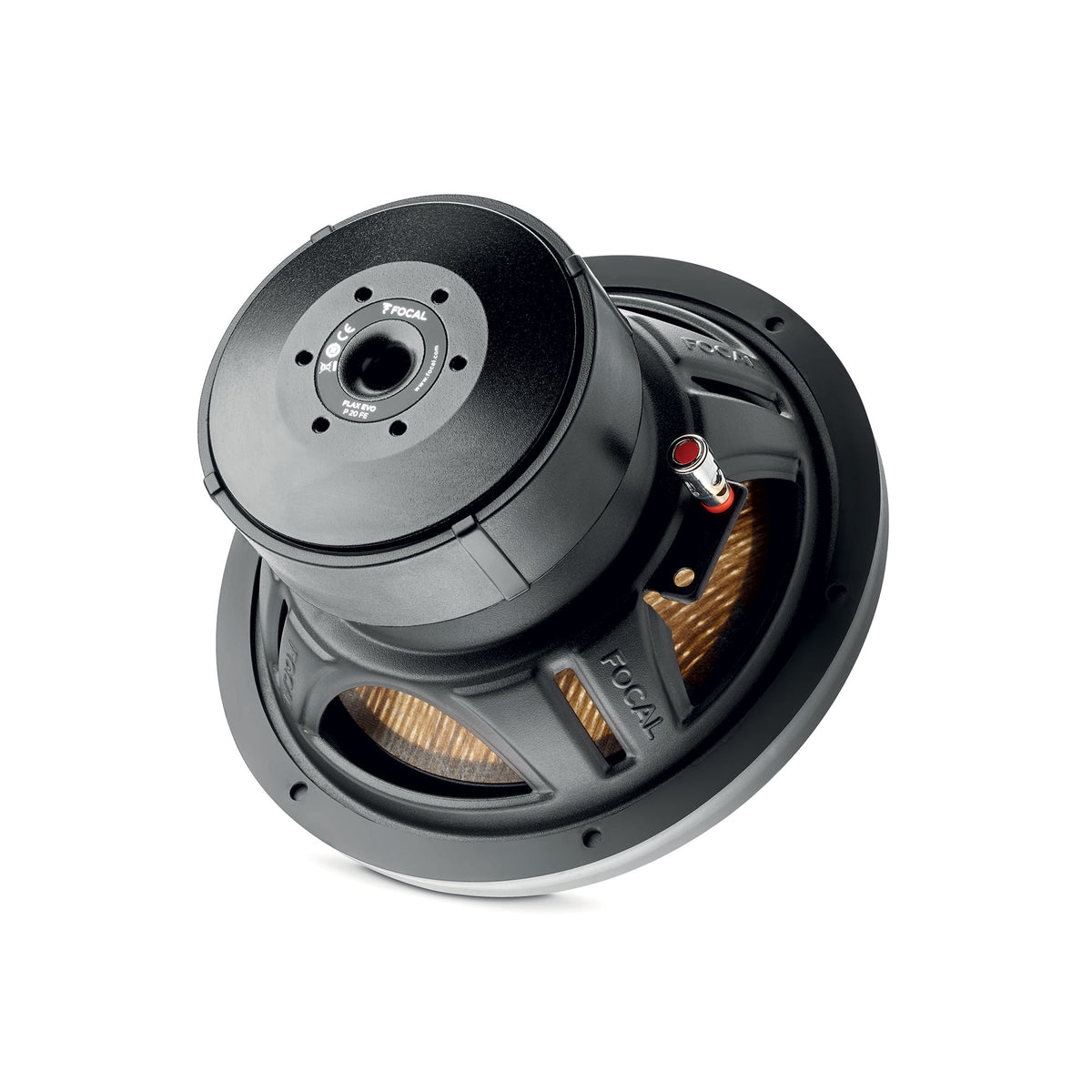 Focal Flax Evo P 20 FE – 8" Subwoofer